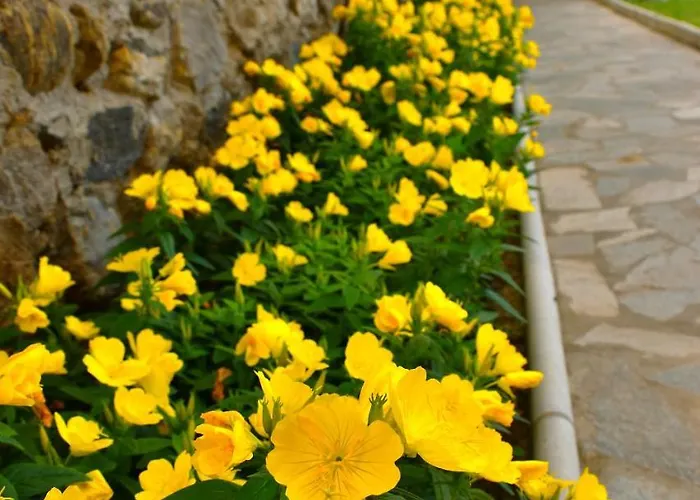 Argacho Maison d'hôtes